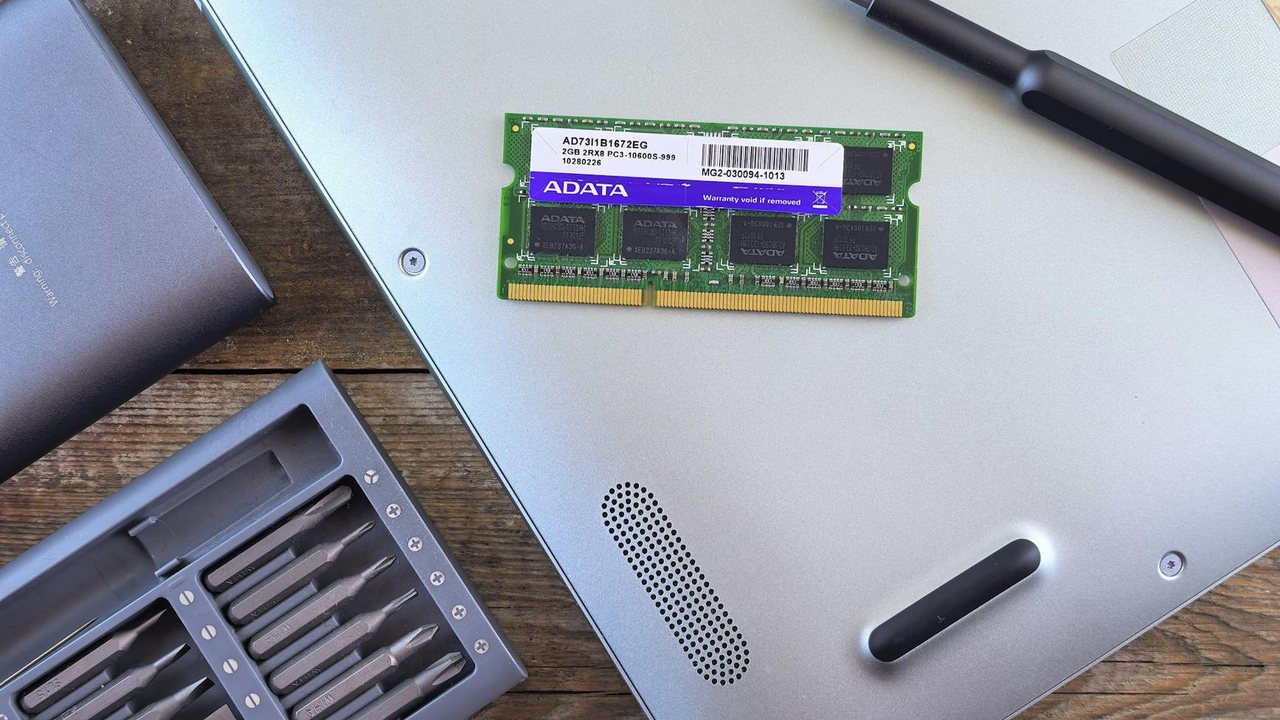 Eliminar insectos de piscina