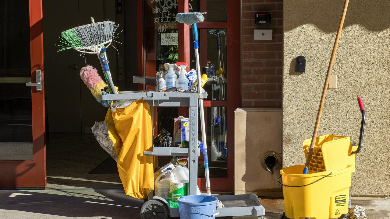 Eliminar insectos de casa