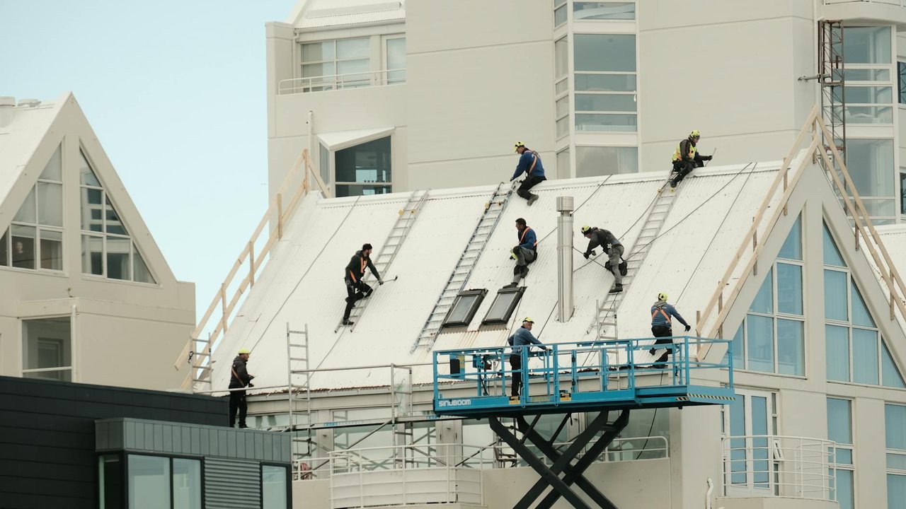 3. Request quotes from specialized companies