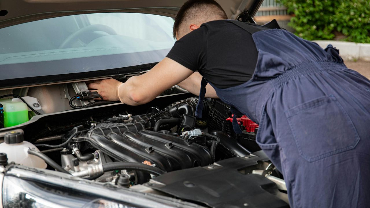 3. Preparar y nivelar el terreno