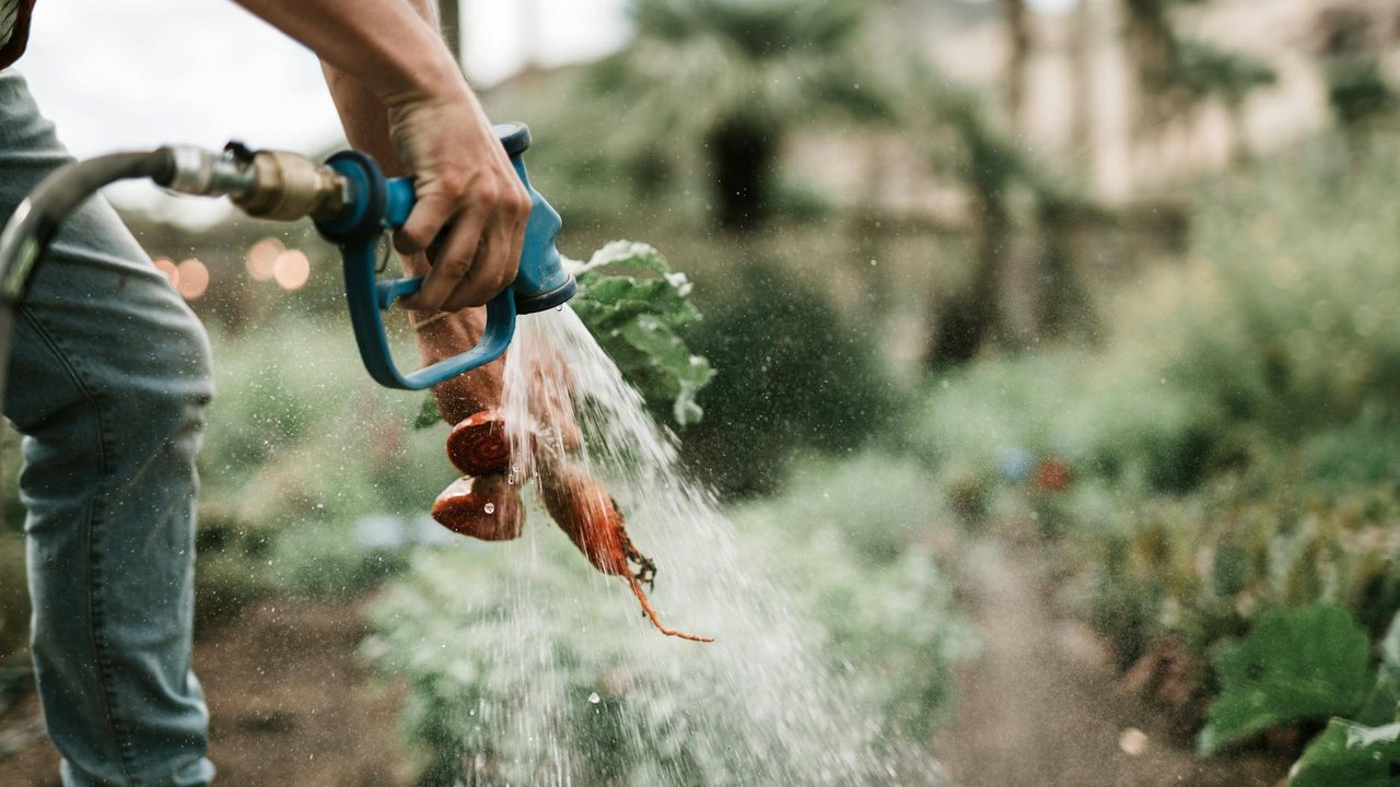 Agua circular en Alicante 2026: reformas para ahorrar agua en casa, jardin y piscina