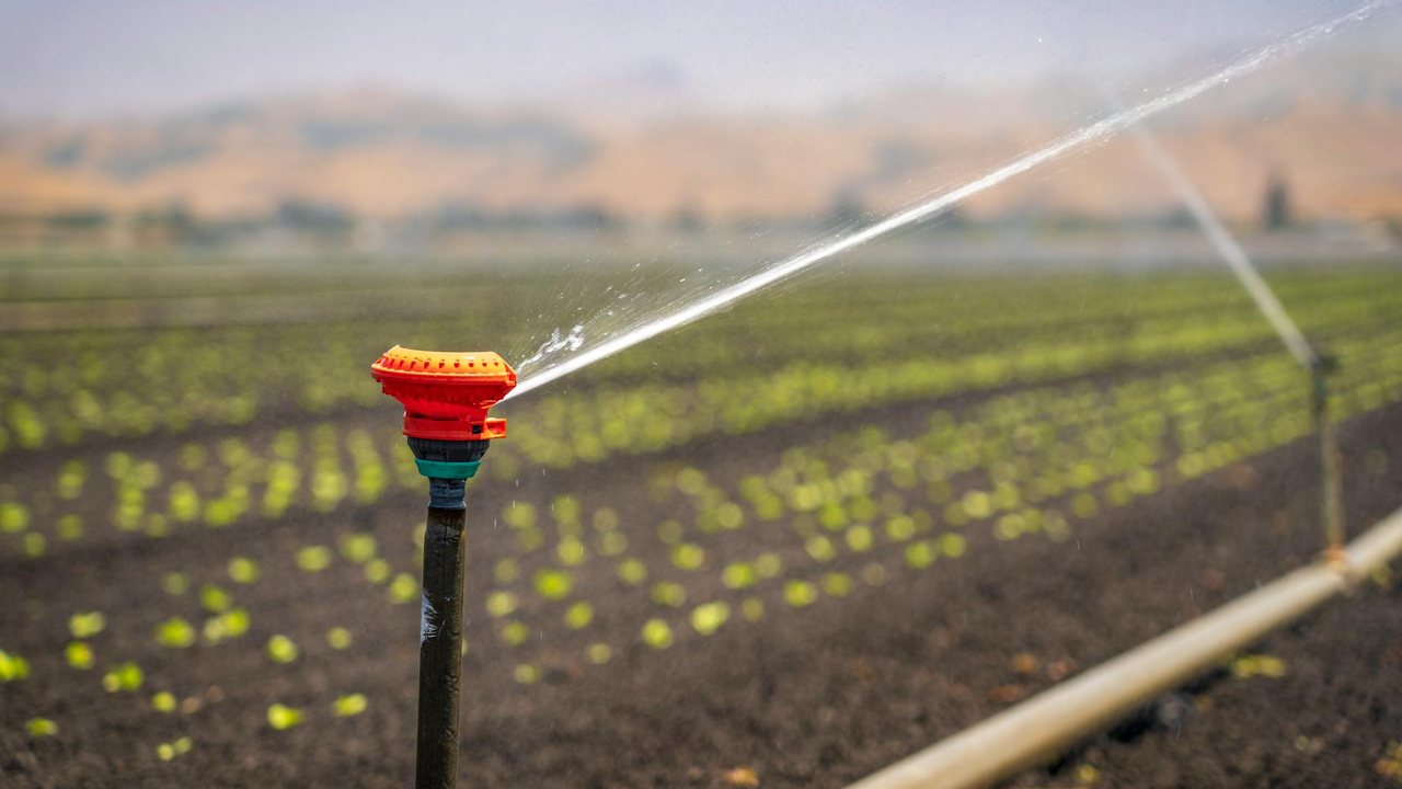 Agua circular en Alicante 2026: reformas para ahorrar agua en casa, jardin y piscina