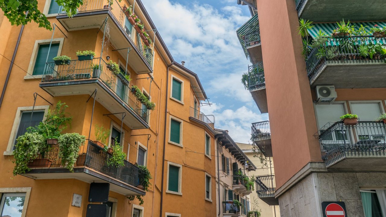 Alicante Hogueras and centenary: renovating flats for medium stays - detail