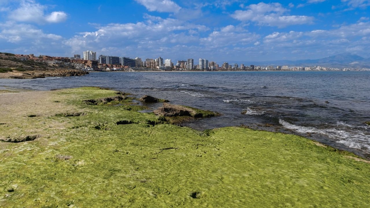 Las Harineras in Benalua Sur: what may change for renovation in Alicante detail