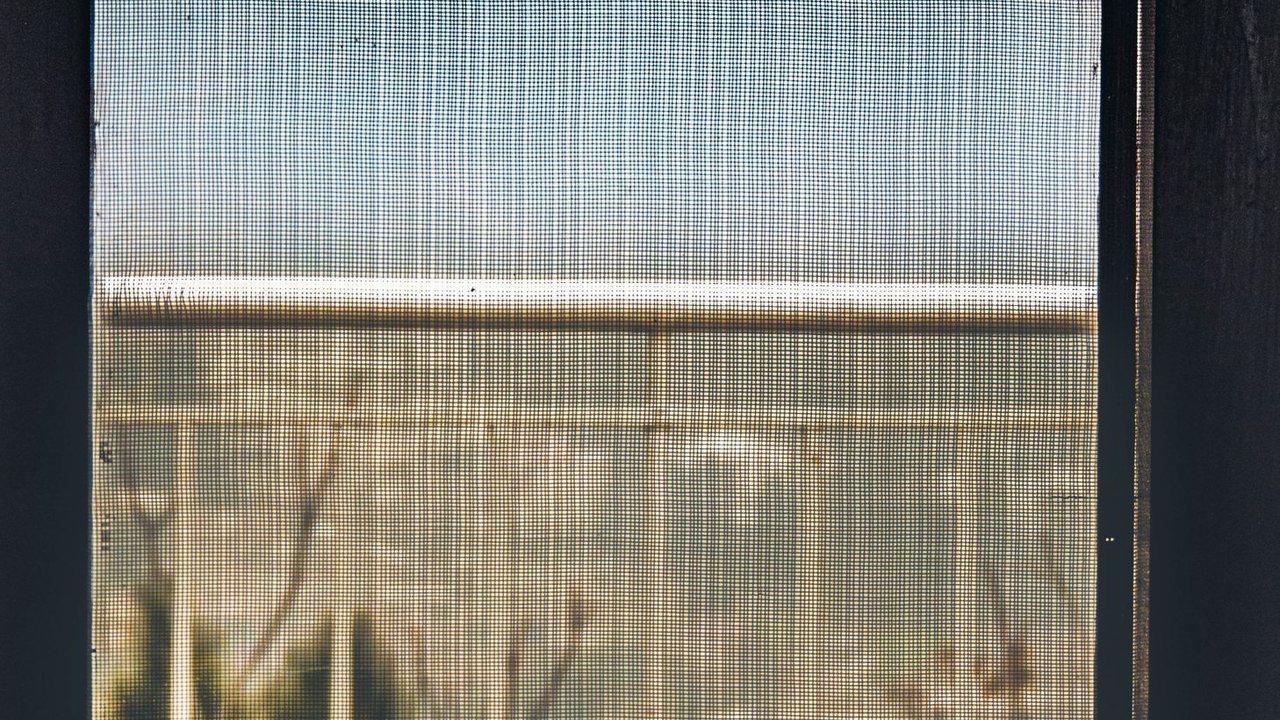Vista hacia el exterior a través de una malla mosquitera