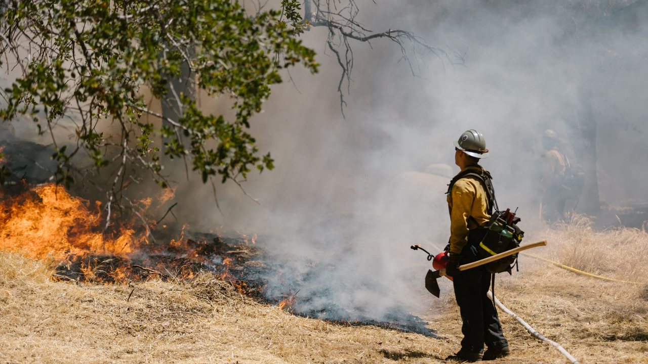 Costa Blanca villa near woodland: renovation and wildfire-risk maintenance