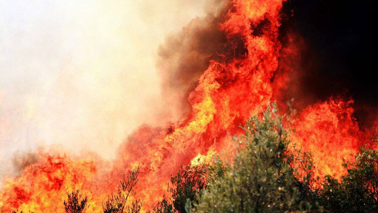 Costa Blanca villa near woodland: renovation and wildfire-risk maintenance