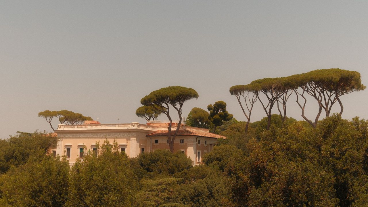Costa Blanca villa near woodland: renovation and wildfire-risk maintenance - detalle